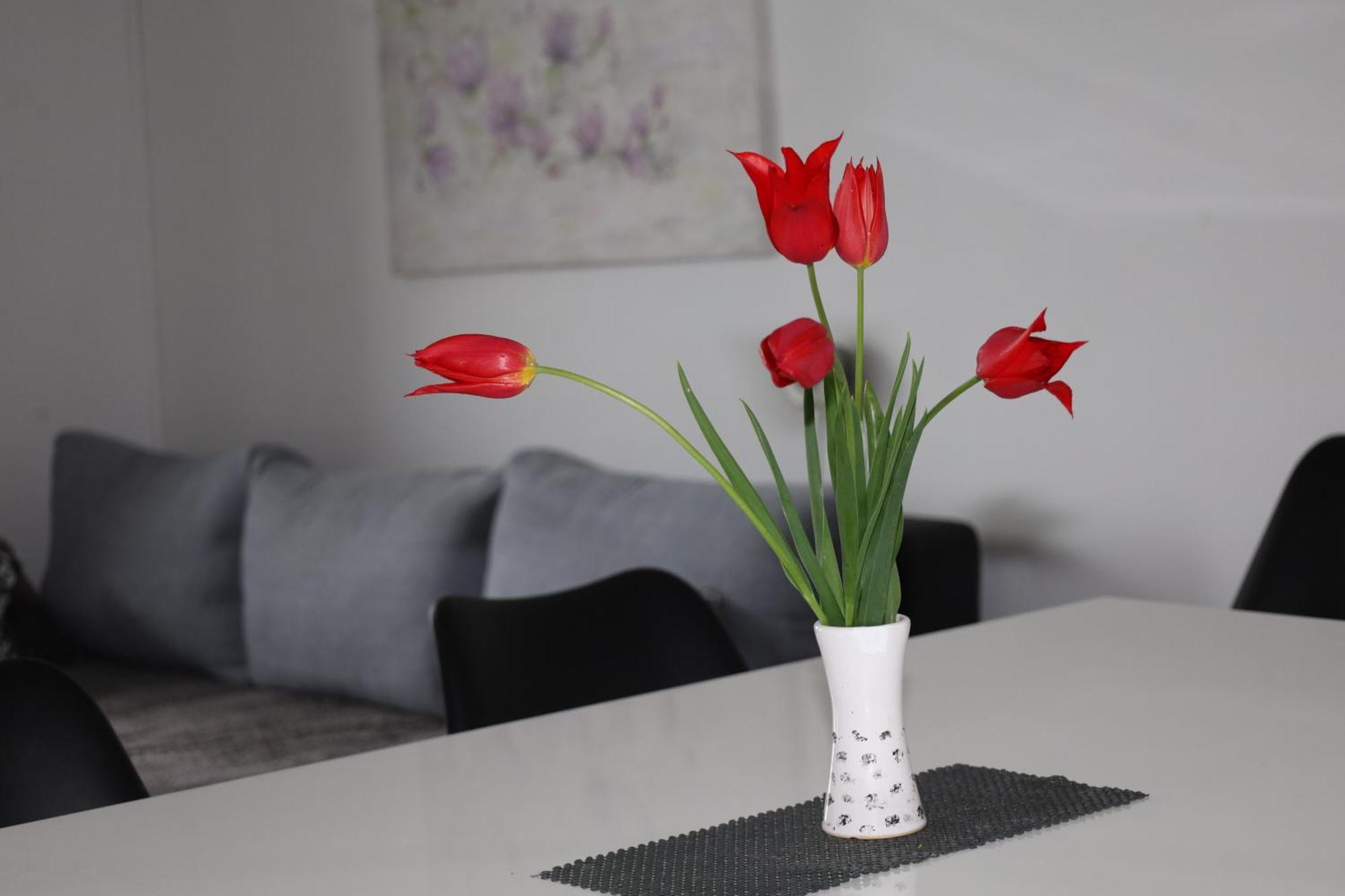 Apartma Javorscek ボヴェツ エクステリア 写真